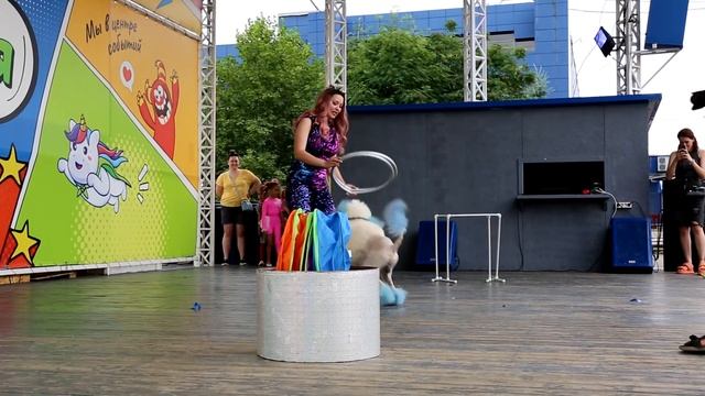В День защиты детей в семейном парке "Тополя" , пудель Чарли и Виолетта, артисты цирка