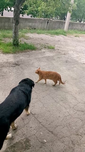 1000002146.mp4
