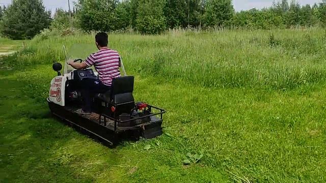 Стою на асфальте я в лыжи обутый