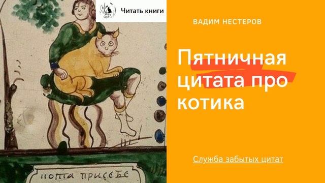Пятничная цитата про котика