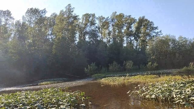 02-06-2025  Оно  горит во мне всегда