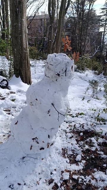 в Сочи