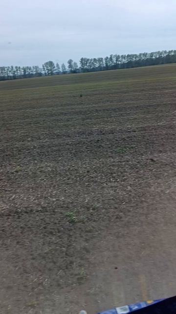 Пары.