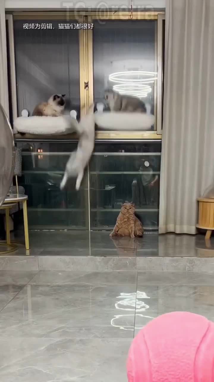 Потому что он самый рыжий