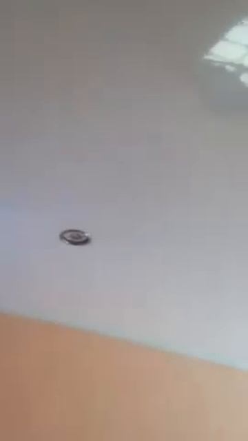 Первый Натяжной 4