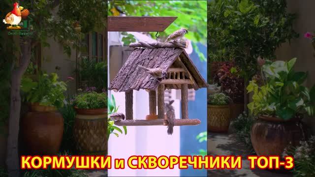 Кормушки и скворечники своими руками для птиц ТОП-3 (27) 🪚🪛🔨 Идеи для дачи и сада пошагово ❣️
