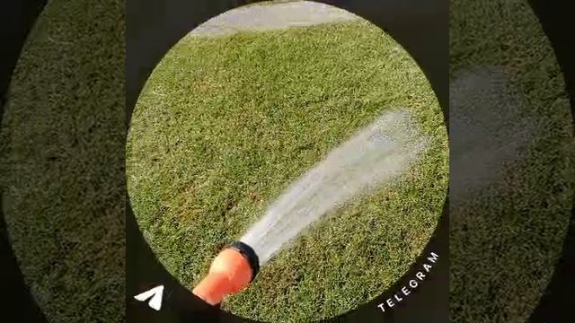 02-06-2025