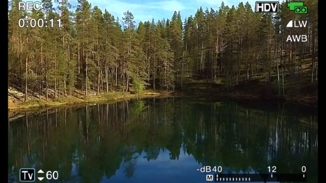Чем богата Россия ? Правильно прекрасными лесами и полями!