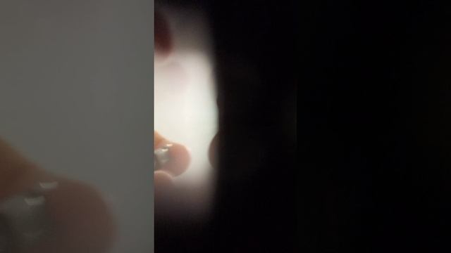 КАМЕРА Ты ЧО БАДАИШЬ