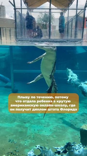 Отдала ребёнка в онлайн-школу, и жизнь изменилась — учится с удовольствием, я спокойна и уверена!