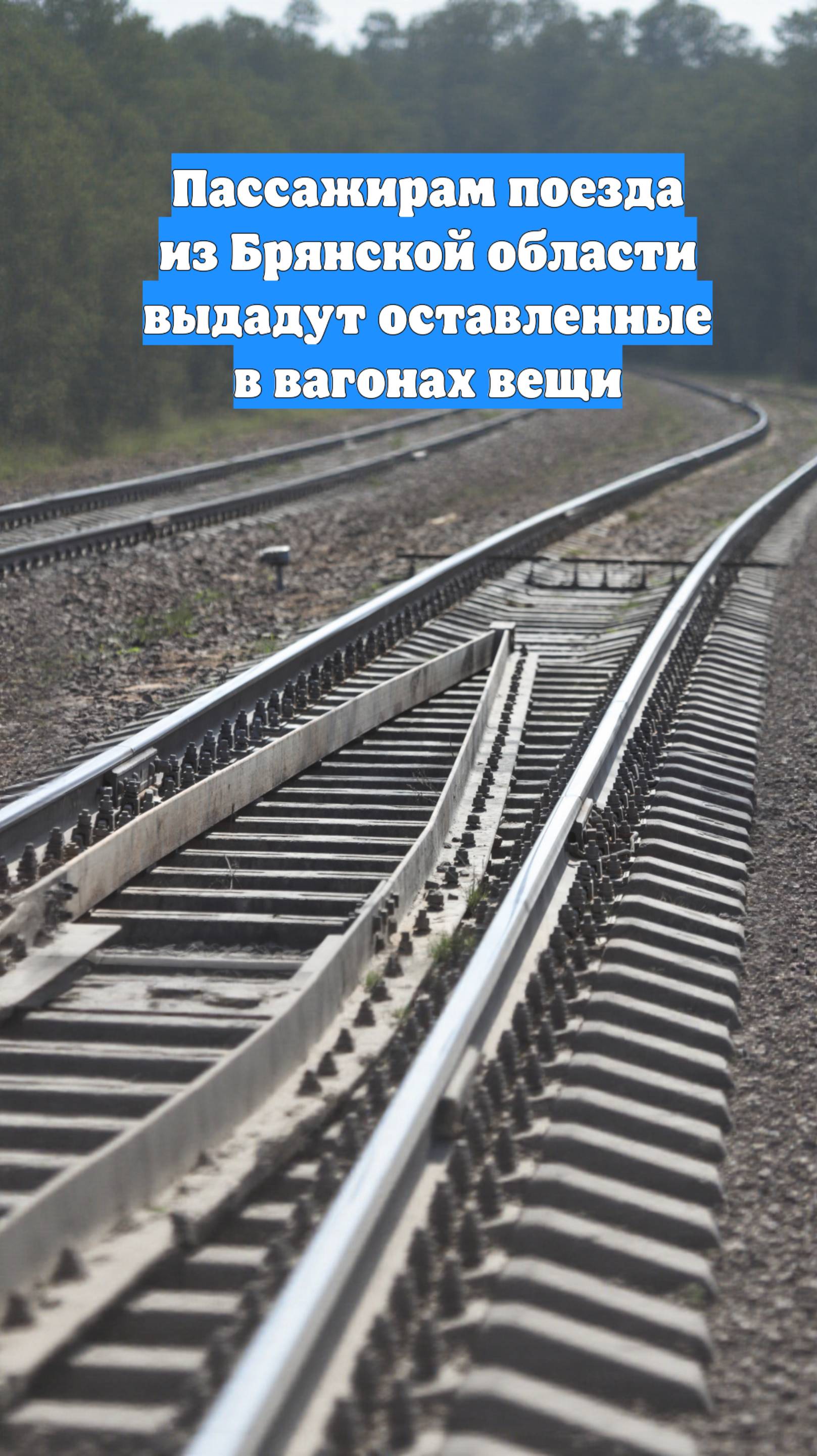 Пассажирам поезда из Брянской области выдадут оставленные в вагонах вещи