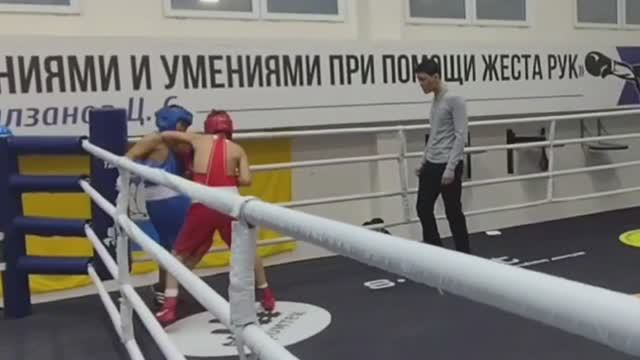 #бокс