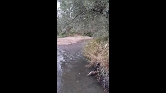 КУДА МЫ ИДЁМ В СВЕТ ИЛИ ТЬМУ МОЖНО ОПРЕДЕЛИТЬ ПО ПОЛЮ Ч