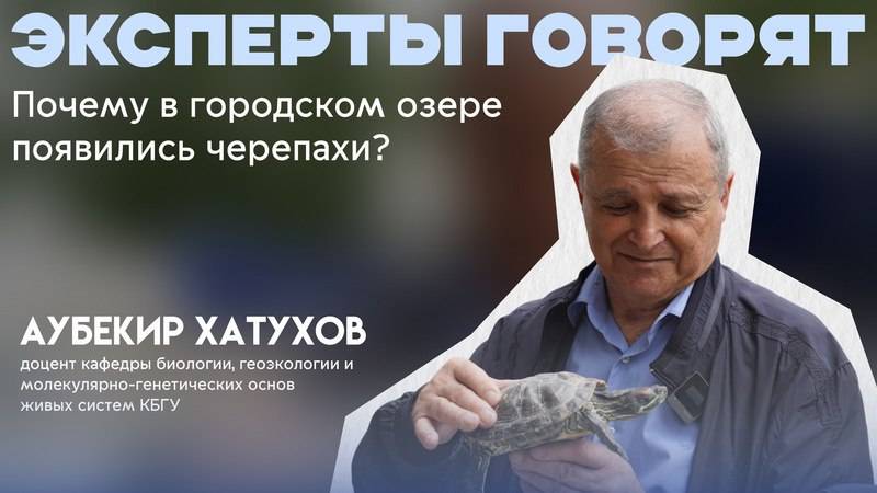 Почему в городском озере Нальчика появились черепахи? Отвечает эксперт КБГУ
