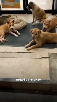 Можно ли остаться на Пхукете навсегда?