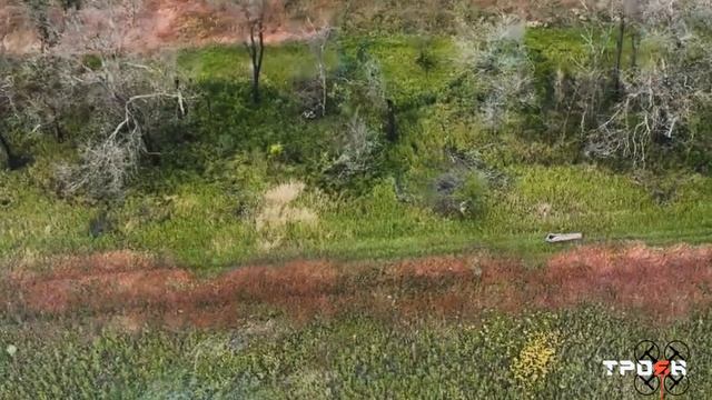 СвиноБпЛАшники убили своих побратимов решивших сдаться в плен.