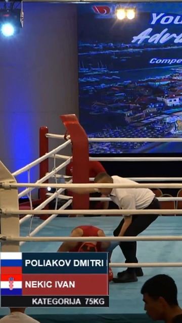 Лучшие нокауты Подпишись и ставь лайк #ufc #mma #youtube #sports #tiktok #shortsvideo #russia #box