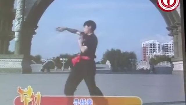 Вин Чун Чен Хуа Шуна Форма: Сюн Цяо Цюань