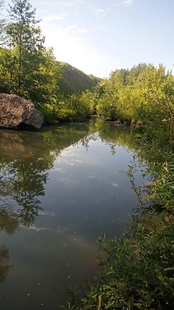 жизнь просто жизнь