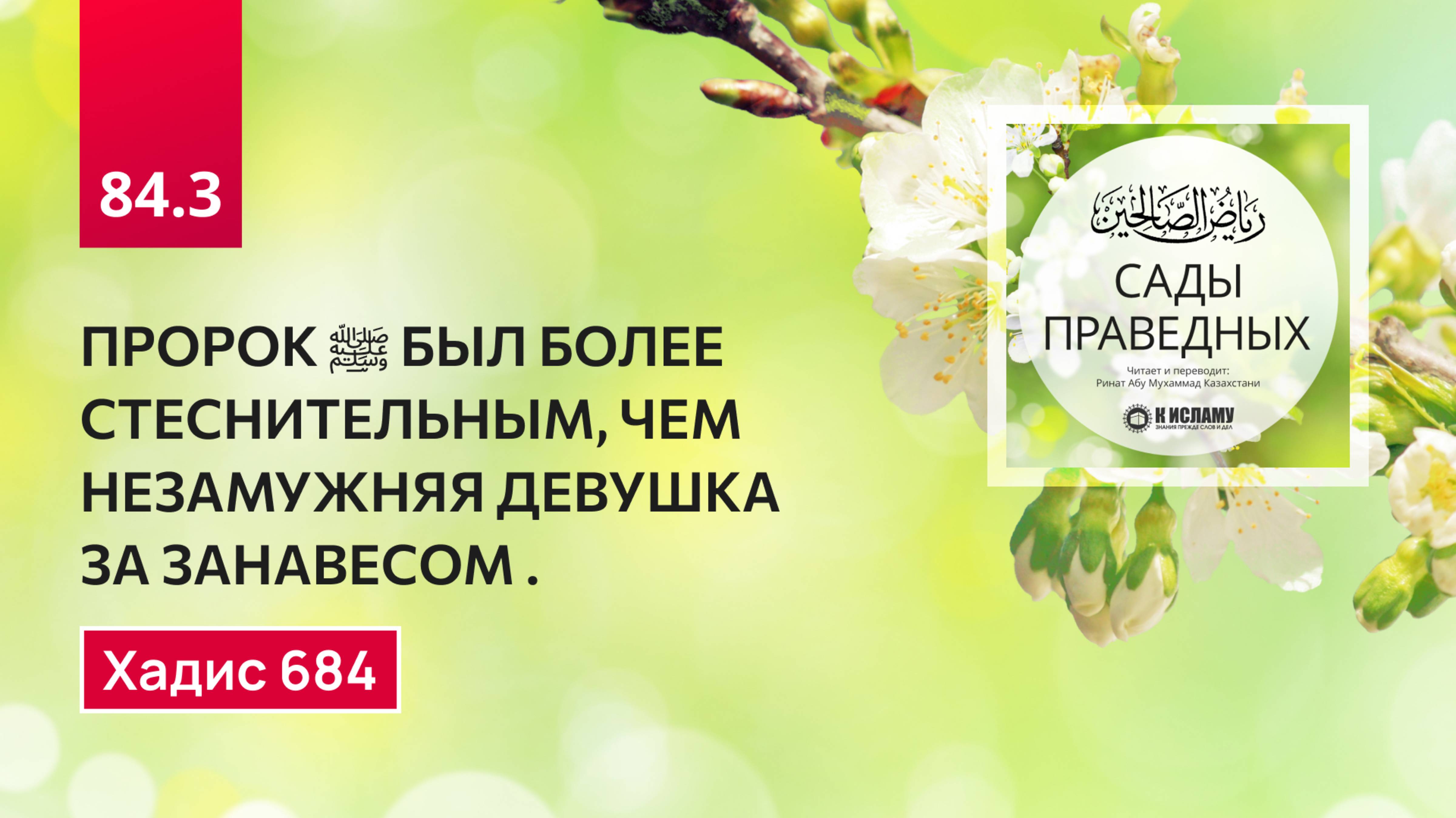 84.3 Сады Праведных. ПРОРОК ﷺ БЫЛ БОЛЕЕ СТЕСНИТЕЛЬНЫМ, ЧЕМ ДЕВУШКА ЗА ЗАНАВЕСКОЙ. Хадис 684