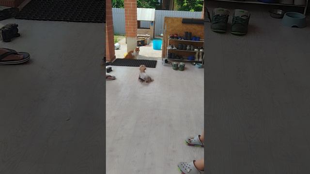 1000003644.mp4