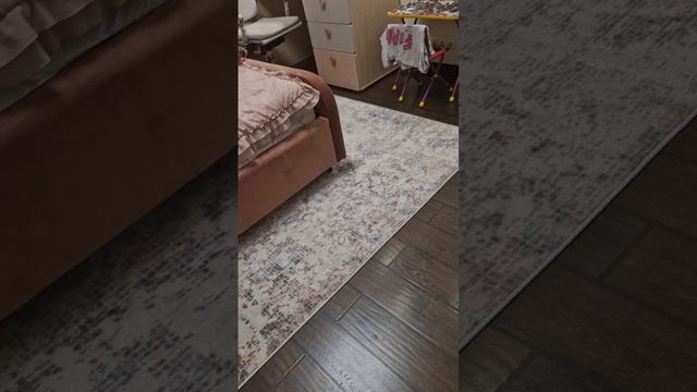 Sofia show.mp4