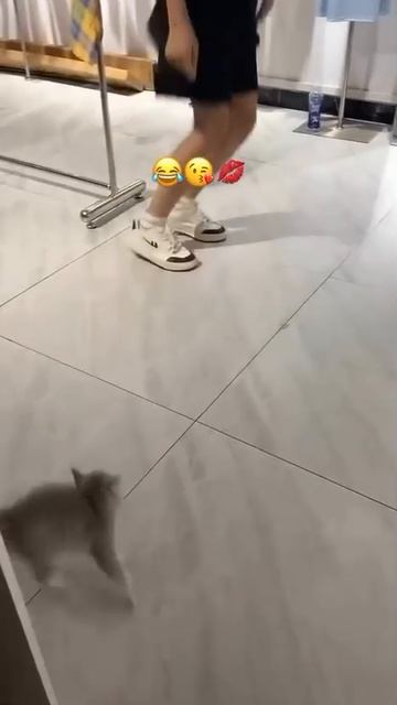 Совместная зарядка❤️
