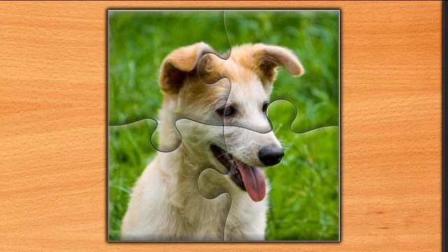 Jigsaw Puzzle Epic 45 Серия Игра 2025