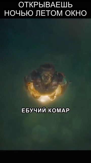 ОТКРЫЛ НА СЕКУНДУ ОКНО ЛЕТОМ #мем #комары #лето #прикол #ржач