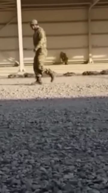 Ставь лайк если маршировал так же ))