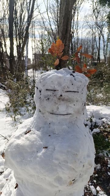 в Сочи