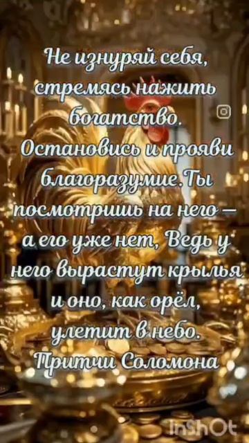 VID_20250602_224504_527.mp4