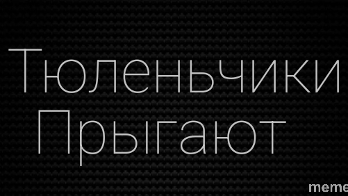 Тюленьчики Прыгают :)