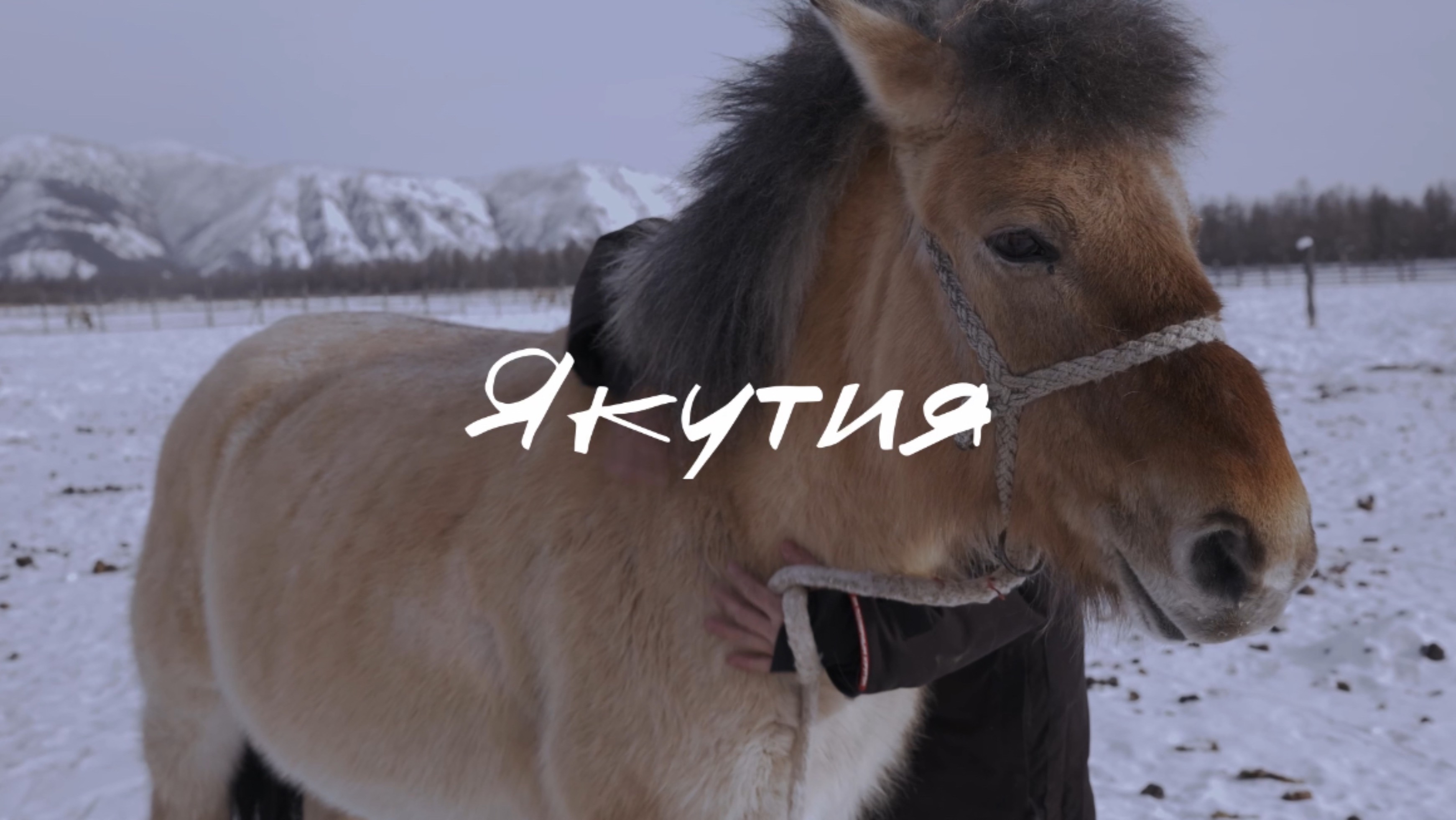 Тизер. Республика Саха (Якутия)