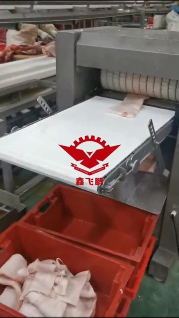 Шкуросъемные машины XFP-500A/600A
