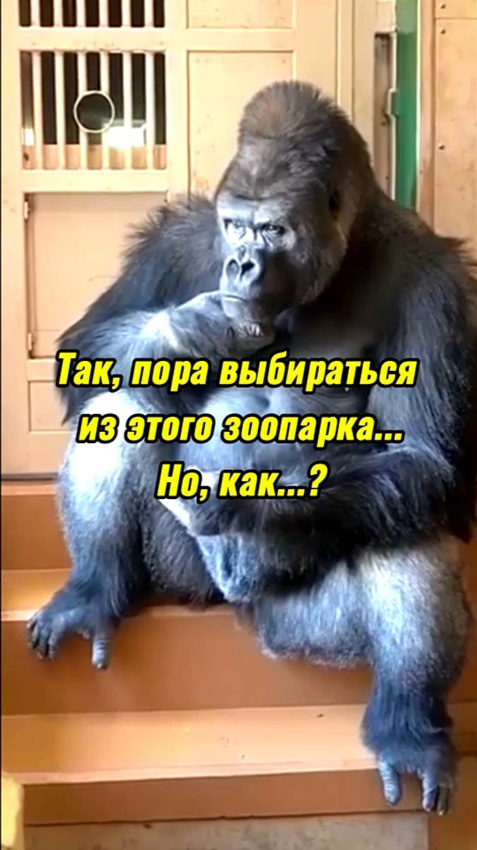ГОША_ИНВЕСТОР