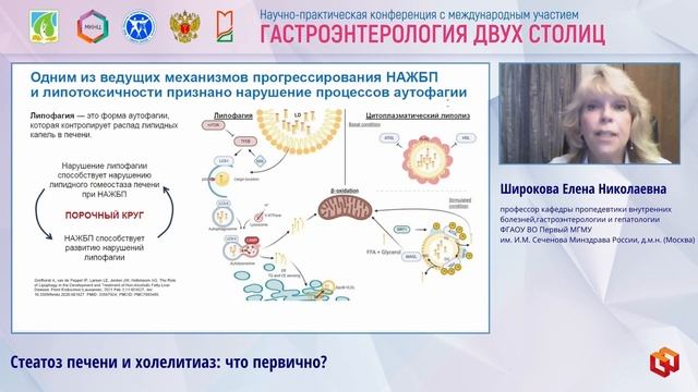 Широкова Елена Николаевна Стеатоз печени и холелитиаз что первично-