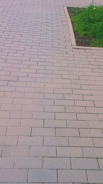 Цитата!
