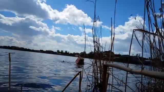 Huggy wuggy Heronzavr Russian Home Wetlook