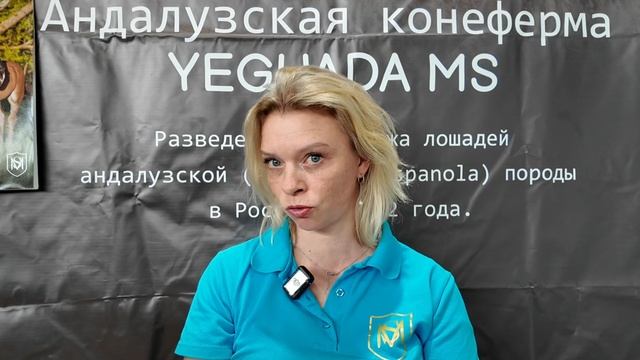 Андалузская конеферма Марии Солдатовой: Часть2