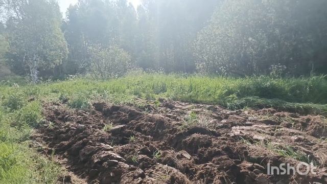 Работа для Кабана и не только 🐗