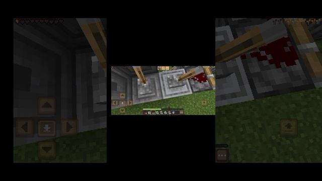 1000013175.mp4