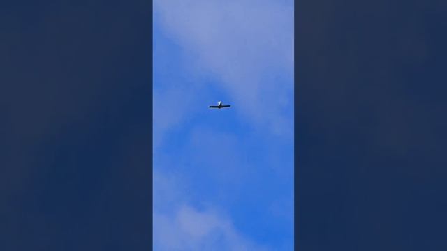 1000151344.mp4