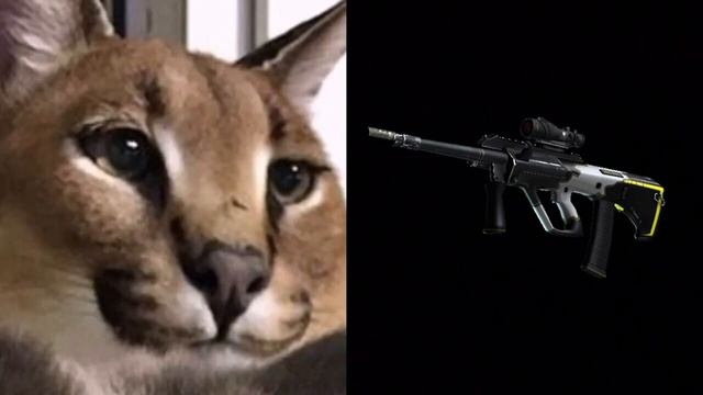 Шлепа оценивает оружие из CS GO