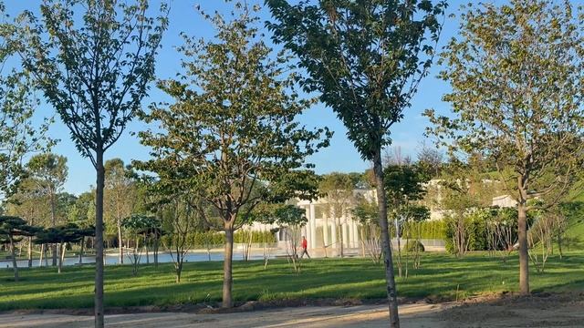 Краснодар самый лучший парк Галицкого в мире