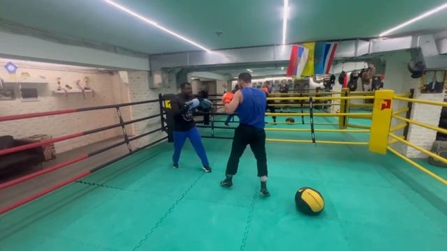 бокс надо любить  boxingбоксbox