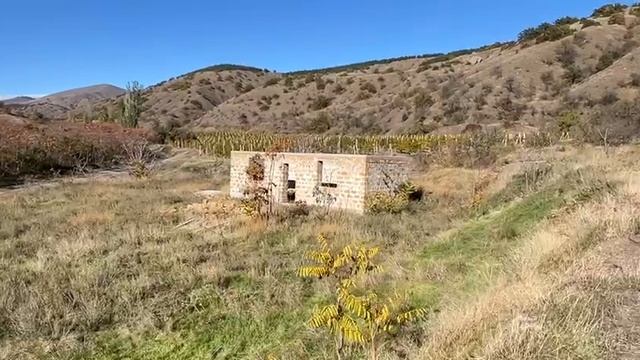 video5327829668521340914