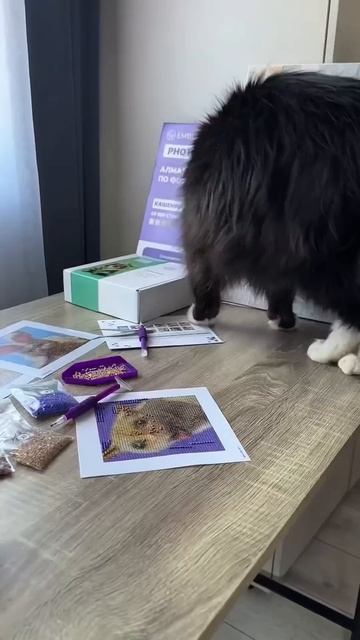 Он это сделал!🐾💎 #алмазнаямозаика MINI GEMS на 💙OZON: 18328045