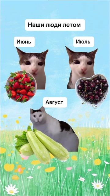 Изматывающая круговерть бытия.