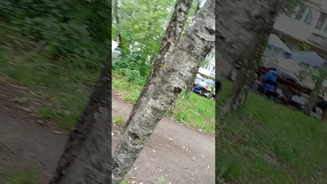обращение